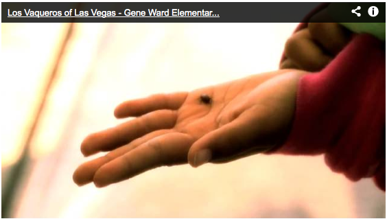 Gene Ward Video